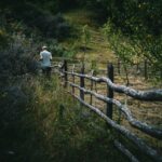 The Art of Saying No: How Boundaries Can Save Your Sanity (and Boost Productivity)